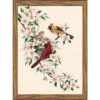 Dimensions Cardinals In Dogwood Stamped Embroidery Kit 1 Dimensions Cardinals In Dogwood Stamped Embroidery Kit -Disney || Prym || Clover Shop 141516 48962.1693414655