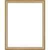 Herrschners Custom Gold Frame For Schipper 16 X 20" Painting Sectional Frame -Disney || Prym || Clover Shop 160188 24492.1693416758