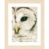 Lanarte Owl I Counted Cross-Stitch Kit 1 Lanarte Owl I Counted Cross-Stitch Kit -Disney || Prym || Clover Shop 183781 60973.1693420851