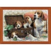 RIOLIS Canine Family Counted Cross-Stitch Kit -Disney || Prym || Clover Shop 186070 37708.1693422885