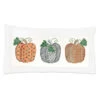 Herrschners Sampler Pumpkins Pillow Cover Counted Cross-Stitch Kit -Disney || Prym || Clover Shop 187944 71336.1693424681