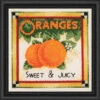 Wichelt Imports, Inc. Market Fresh - Oranges Counted Cross-Stitch Kit 2 Wichelt Imports, Inc. Market Fresh - Oranges Counted Cross-Stitch Kit -Disney || Prym || Clover Shop 188450 74039.1693425332